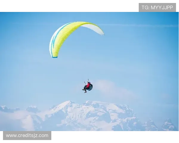 法国选手在国际滑翔伞精准降落锦标赛中力压群雄荣获冠军